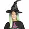 Kids Black Green Purple Witch Poncho Costume Halloween Outfit